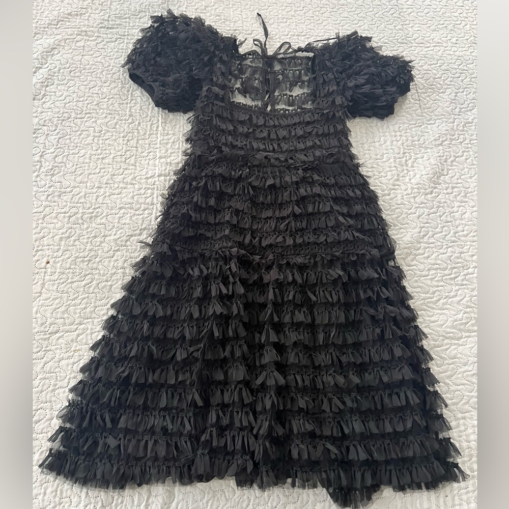 Zara Sheer Black Tulle Dress